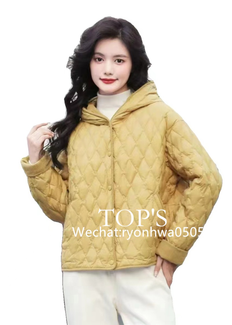 微信图片_20231026233606.jpg